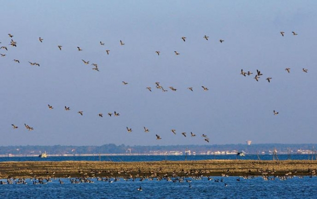 Renta de barcos en la cuenca de Arcachon 